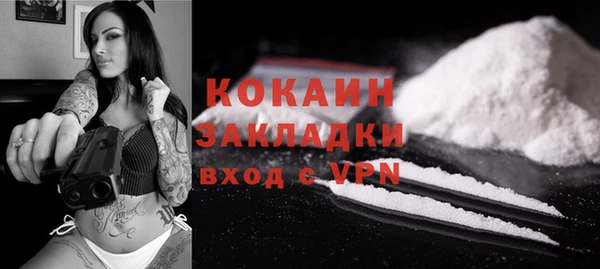 гашик Елизово