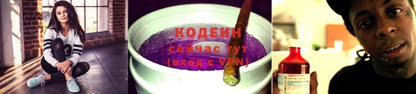 гашик Елизово