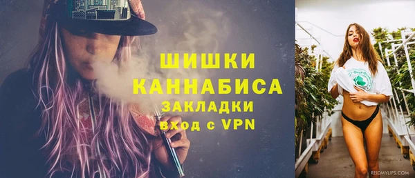 гашик Елизово