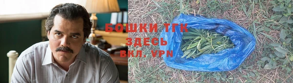 гашик Елизово