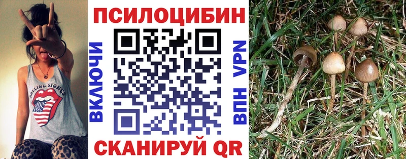 Галлюциногенные грибы Cubensis  наркота  Верхняя Тура 